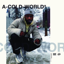Load image into Gallery viewer, A Cold World (LP) | Ankhlejohn x Vinyl Villain | Copenhagen Crates Exclusive Limited Vinyl 12" Wax Record Underground Rap Hiphop Hip Hop