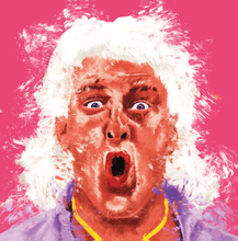 Load image into Gallery viewer, Nobody Bleeds Like Flair (LP)